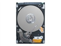 Seagate EE25.2 Series ST940818AM - hard drive - 40 GB - IDE/ATA (ST940818AM)