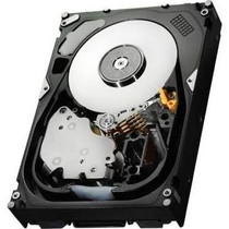 36GB 1" FC 10K (238590-B22)