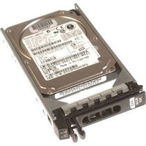 Dell 36-GB 10K 2.5 SP SAS  (J8078)