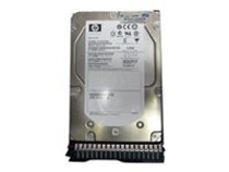 HPE Dual Port - hard drive - 300 GB - SAS 6Gb/s (707568-B21) - RECERTIFIED