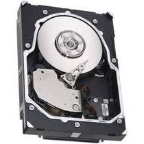 DRV, HD 300GB SAS 3.5 DP 15k 6Gb-SGT (9FL066-002) - RECERTIFIED