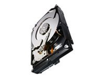 Seagate Constellation CS ST1000NC001 - hard drive - 1 TB - SATA 6Gb/s (ST1000NC001) - RECERTIFIED