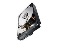 Seagate Enterprise Capacity 3.5 HDD V.3 ST1000NM0063 - hard drive - 1 TB - SAS 12Gb/s (ST1000NM0063) - RECERTIFIED