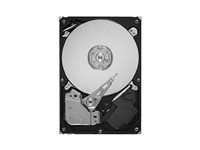 Seagate SV35.5 Series ST31000525SV - hard drive - 1 TB - SATA 3Gb/s (ST31000525SV) - RECERTIFIED