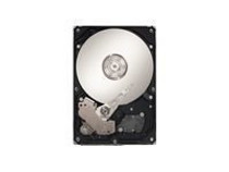 Seagate Barracuda ES.2 - hard drive - 1 TB - SAS (ST31000640SS) - RECERTIFIED