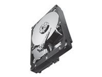 Seagate Constellation ES.2 ST32000646NS - hard drive - 2 TB - SATA 6Gb/s (ST32000646NS) - RECERTIFIED