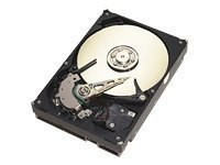 Seagate Barracuda 7200.7 - hard drive - 40 GB - ATA-100 (ST340014A) - RECERTIFIED [24226]
