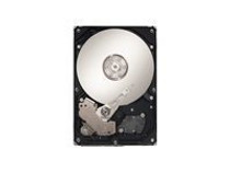 Seagate Barracuda ES.2 - hard drive - 500 GB - SAS (ST3500620SS) - RECERTIFIED