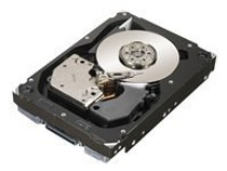 Seagate Cheetah NS.2 - hard drive - 600 GB - SAS 6Gb/s (ST3600002SS) - RECERTIFIED