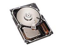 Seagate Cheetah 10K.6 - hard drive - 73.4 GB - Ultra320 SCSI (ST373307LW) - RECERTIFIED