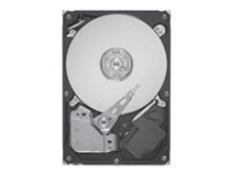 Seagate Enterprise Performance 10K HDD ST9900805SS - hard drive - 900 GB - SAS 6Gb/s (ST9900805SS) - RECERTIFIED