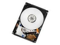 Hitachi Travelstar 5K500.B 500 GB Internal HDD (HTS545050B9A300) - RECERTIFIED