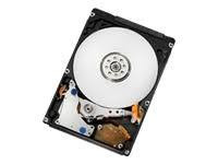 Hitachi Travelstar 5K500.B 500 GB Internal HDD (HTS545050B9A300) - RECERTIFIED