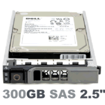 4FMTM Dell 300-GB 6G 15K 2.5 SP SAS w/G176J