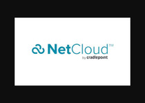 Cradlepoint NetCloud Essentials for IoT Routers - subscription license (3 y