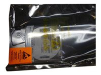 HPE  
Hard drive - 1 TB - hot-swap - 3.5" - SATA 3Gb/s - 7200 rpm (684181-001)