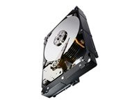 Seagate Enterprise Capacity 3.5 HDD V.3 ST1000NM0063 - hard drive - 1 TB - SAS 12Gb/s (ST1000NM0063)