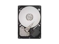 Seagate DB35.4 Series ST3250310CS - hard drive - 250 GB - SATA 3Gb/s (ST3250310CS)