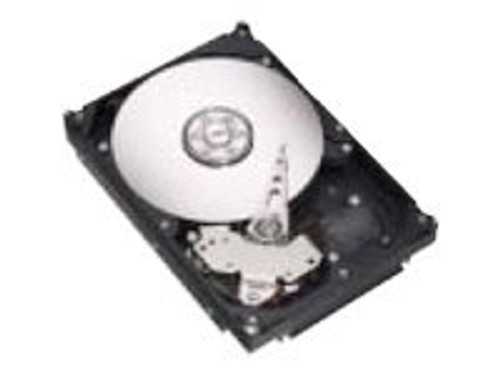 Seagate NL35 Series ST3250624NS - hard drive - 250 GB - SATA 3Gb/s (ST3250624NS) Seagate NL35 Series ST3250624NS - hard drive - 250 GB - SATA 3Gb/s (ST3250624NS)