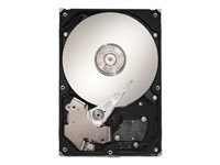 Seagate SV35.2 Series ST3250820AV - hard drive - 250 GB - ATA-100 (ST3250820AV)