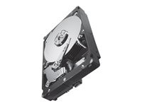 Seagate Constellation ES.2 ST33000650SS - hard drive - 3 TB - SAS 6Gb/s (ST33000650SS)
