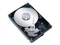 Seagate Barracuda 7200.9 - hard drive - 400 GB - ATA-100 (ST3400633A)