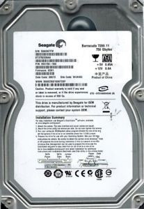 Seagate Desktop HDD ST3750330AS - hard drive - 750 GB - SATA 3Gb/s (ST3750330AS)