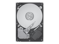 Seagate Enterprise Performance 10K HDD ST9450305SS - hard drive - 450 GB - SAS 6Gb/s (ST9450305SS)