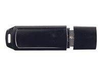 SPS-KEY DRV 2GB FLASH MEDIA USB (608863-001)