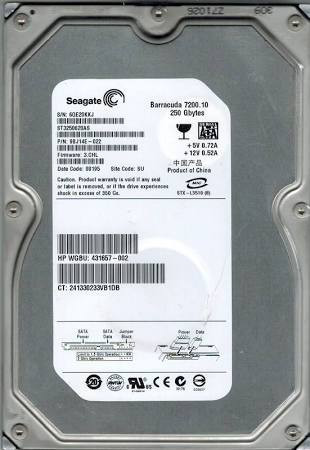 250GB SATA 300 3 5 Hard Drive (9BJ14E-022) - RECERTIFIED