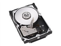 Seagate Cheetah 10K.7 - hard drive - 146 GB - Ultra320 SCSI (ST3146707LW) - RECERTIFIED [10346]