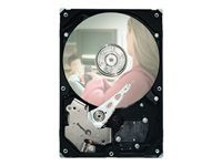 Seagate DB35 Series ST3160212SCE - hard drive - 160 GB - SATA 3Gb/s (ST3160212SCE) - RECERTIFIED