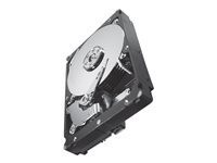 Seagate Constellation ES.2 ST32000645NS - hard drive - 2 TB - SATA 6Gb/s (ST32000645NS) - RECERTIFIED