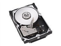 Seagate Cheetah 10K.7 - hard drive - 300 GB - Ultra320 SCSI (ST3300007LW) - RECERTIFIED