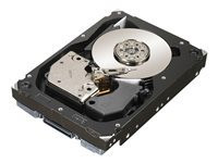 Seagate Cheetah NS.2 - hard drive - 450 GB - SAS 6Gb/s (ST3450802SS) - RECERTIFIED