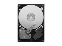 Seagate Pipeline HD ST3500312CS - hard drive - 500 GB - SATA 3Gb/s (ST3500312CS) - RECERTIFIED