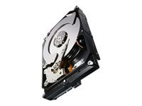 Seagate Constellation CS ST3000NC002 - hard drive - 3 TB - SATA 6Gb/s (ST3000NC002) - RECERTIFIED