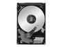 Seagate Momentus Thin ST320LT020 - hard drive - 320 GB - SATA 3Gb/s (ST320LT020)