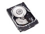 Seagate Cheetah 15K ST336754LW - hard drive - 36.7 GB - Ultra320 SCSI (ST336754LW)