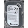 SEAGATE ST3320413CS 320GB 7200RPM SATA 8MB BUFFER 3.5INCH HARD DISK DRIVE.  (ST3320413CS)