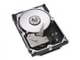 Seagate Cheetah 10K.7 - hard drive - 146 GB - Ultra320 SCSI (ST3146707LW) - RECERTIFIED