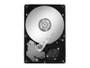 Seagate Desktop HDD ST3250820A - hard drive - 250 GB - ATA-100 (ST3250820A) - RECERTIFIED