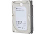 Seagate Enterprise Capacity 3.5 HDD V.5 ST6000NM0095 - hard drive - 6 TB - (ST6000NM0095)