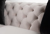 Casa Clarice Transitional Light Beige Velvet Couch Sofa