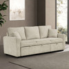 Furniture of America Beige Couch Sofa Sectional With Pull-Out Sleeper Sofa Bed FM6965BG-SF-PK