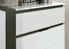 Furniture of America - Birsfelden Chest in White/Metallic Gray