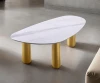 Furniture of America - Northwich Coffee Table in White/Matte Gold