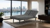 Furniture of America - Napervill Futon Sofa in Dark Gray