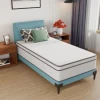 Furniture of America - Catmint 12" Twin Innerspring Mattress (Roll-In-Box) in White/Gray