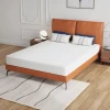 Furniture of America - Forsythia 8" Queen Green Tea Gel Memory Foam (Roll-In-A-Box) in White